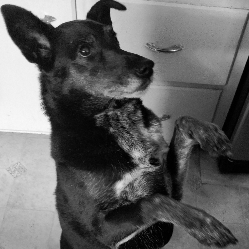 Meet Nick
